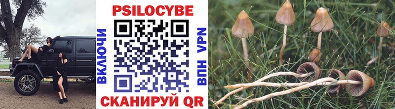 Галлюциногенные грибы ЛСД  Бежецк 